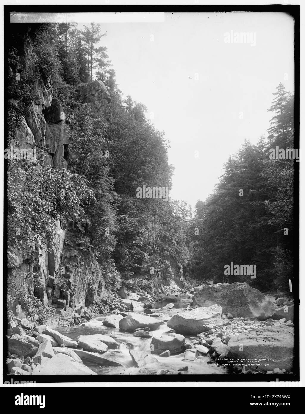 In Clarendon Gorge, Green Mountains, Data basata su Detroit, Catalogue J Supplement (1901-1906)., '28' on negative., Detroit Publishing Co. N.. 016036., Gift; State Historical Society of Colorado; 1949, Canyons. , Fiumi. , Stati Uniti, Vermont, Green Mountains. , Stati Uniti, Vermont, East Clarendon. Foto Stock