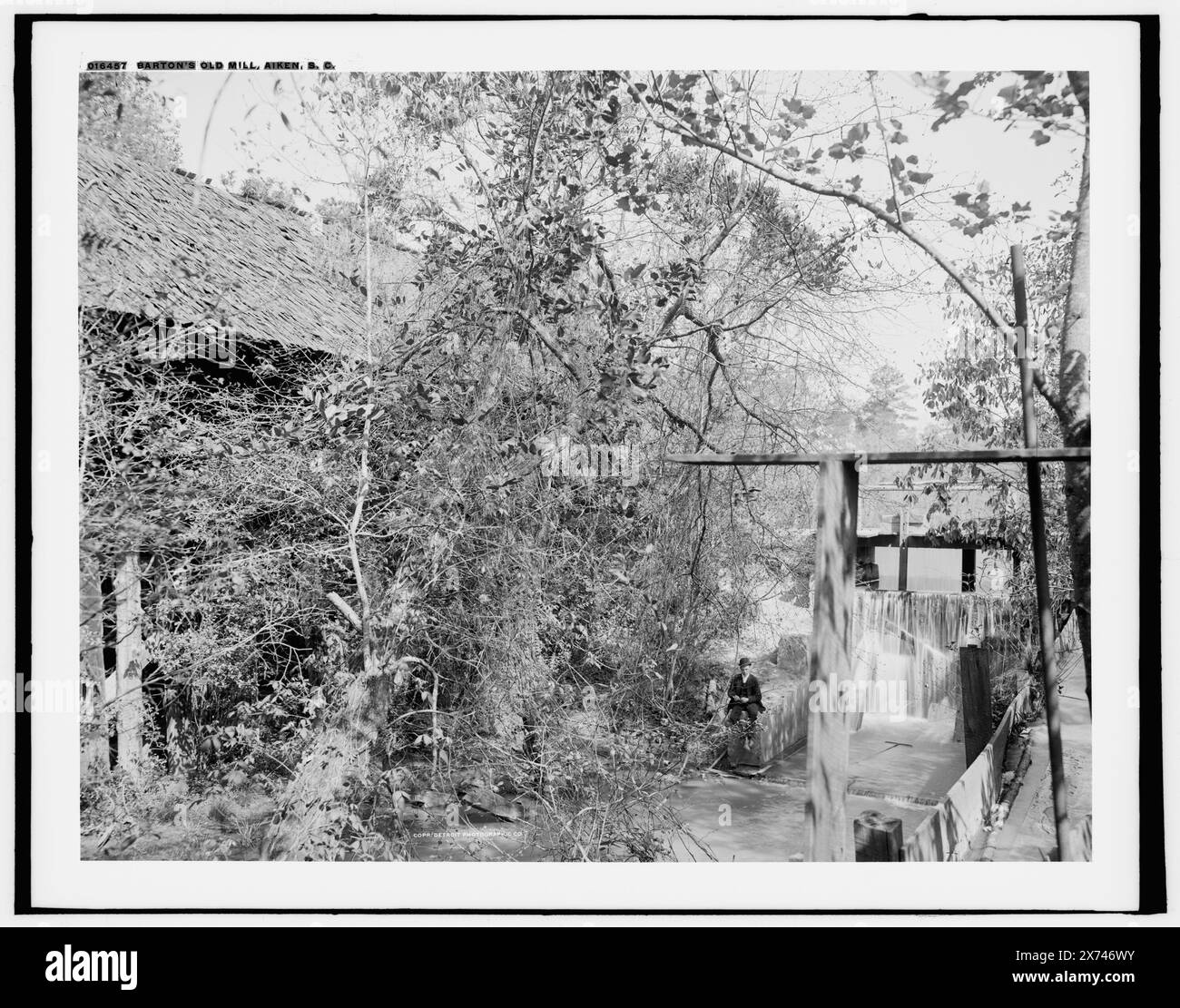 Barton's Old Mill, Aiken, S.C., Date based on Detroit, Catalogue P (1906)., '760-G' on negative., Detroit Publishing Co. N.. 016457., Gift; State Historical Society of Colorado; 1949, Mills. , Stati Uniti, Carolina del Sud, Aiken. Foto Stock