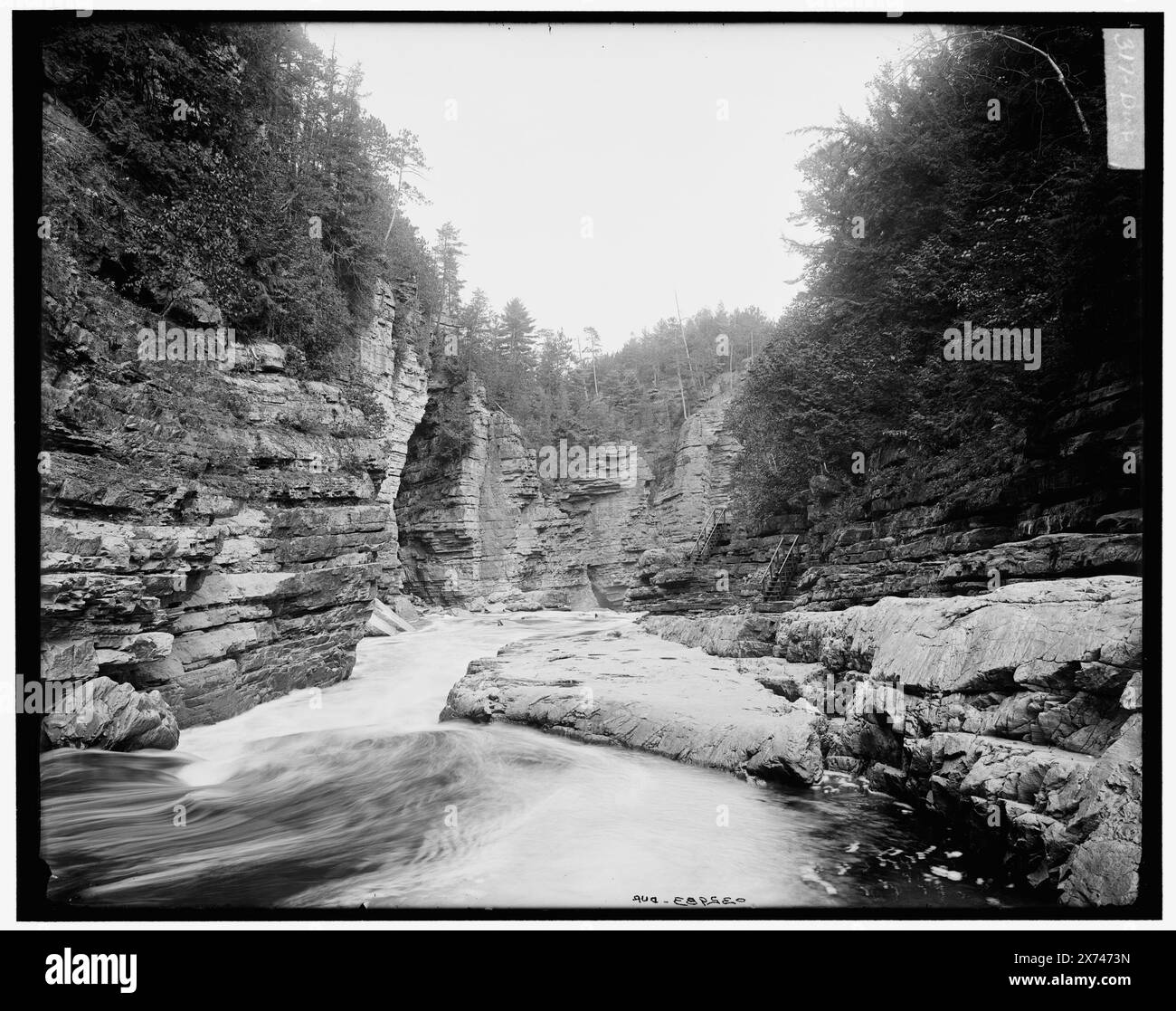Split Rock, Near view, Ausable Chasm, N.Y., titolo da giacca., Elephant's Head rock formation in middle left., '317 dup' on negative., Detroit Publishing Co. no 032983., Gift; State Historical Society of Colorado; 1949, Canyons. , Fiumi. , Formazioni rocciose. , Stati Uniti, New York (Stato), Ausable River. Foto Stock