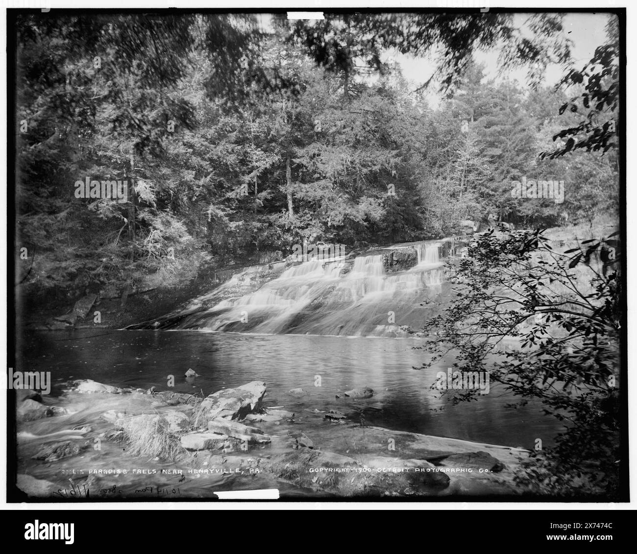 Paradise Falls Near Henryville, Pa., Detroit Publishing Co. N. 010114, 011612., Gift; State Historical Society of Colorado; 1949, Waterfalls. , Stati Uniti, Pennsylvania, Henryville. Foto Stock
