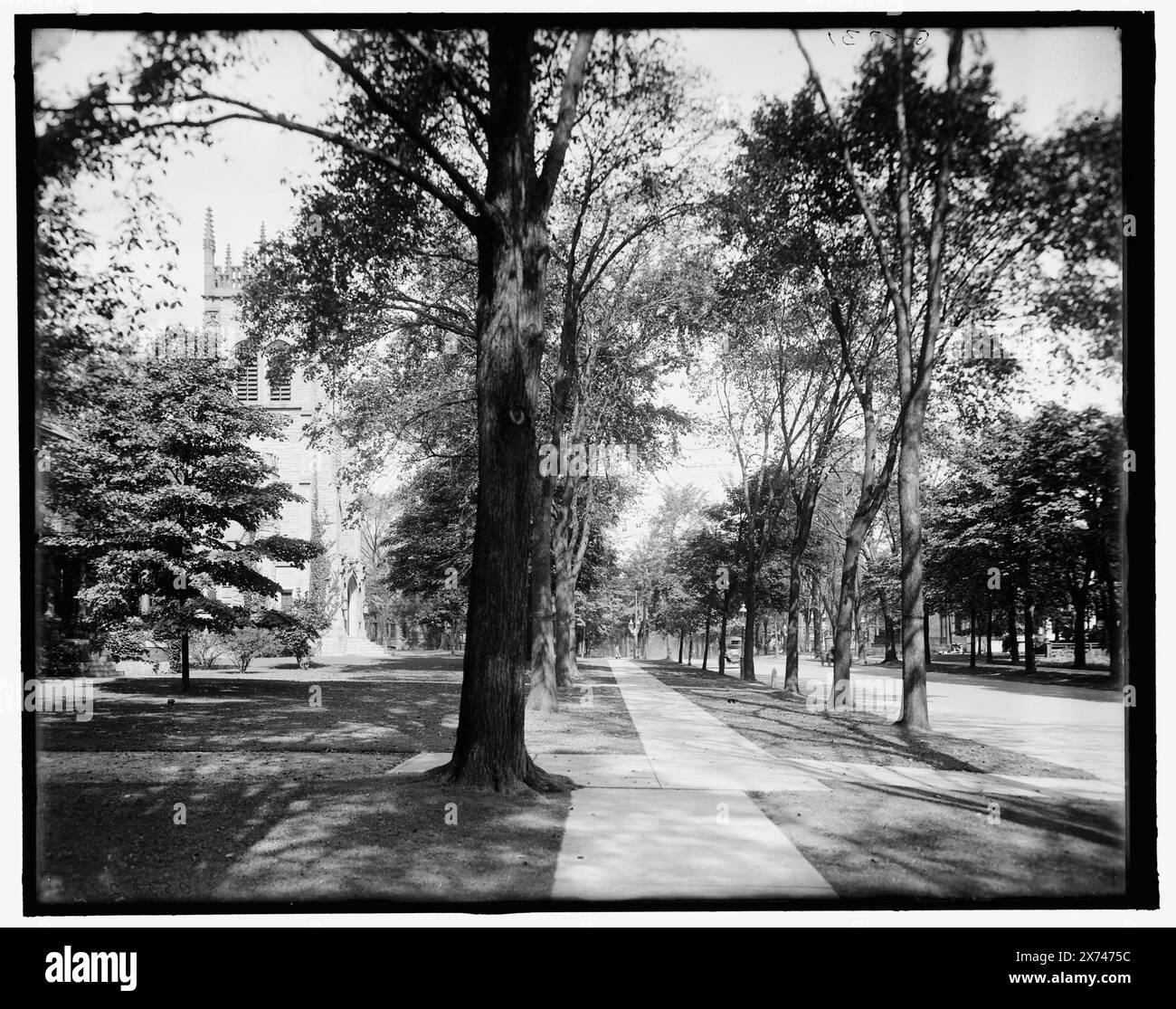 Delaware Ave., Buffalo, N.Y., Title from jacket., 'G 8731' on negative., Detroit Publishing Co. N. 500211., Gift; State Historical Society of Colorado; 1949, Residential Streets. , Stati Uniti, New York (Stato), Buffalo. Foto Stock