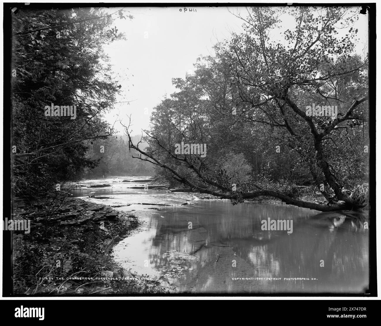 The Conaseraga ovvero Canaseraga, Poagshole, Dansville, N.Y., Detroit Publishing Co. N. 011489., Gift; State Historical Society of Colorado; 1949, Rivers. , Stati Uniti, New York (Stato), Dansville. , Stati Uniti, New York (State), Poags Hole. , Stati Uniti, New York (State), Canaseraga Creek. Foto Stock