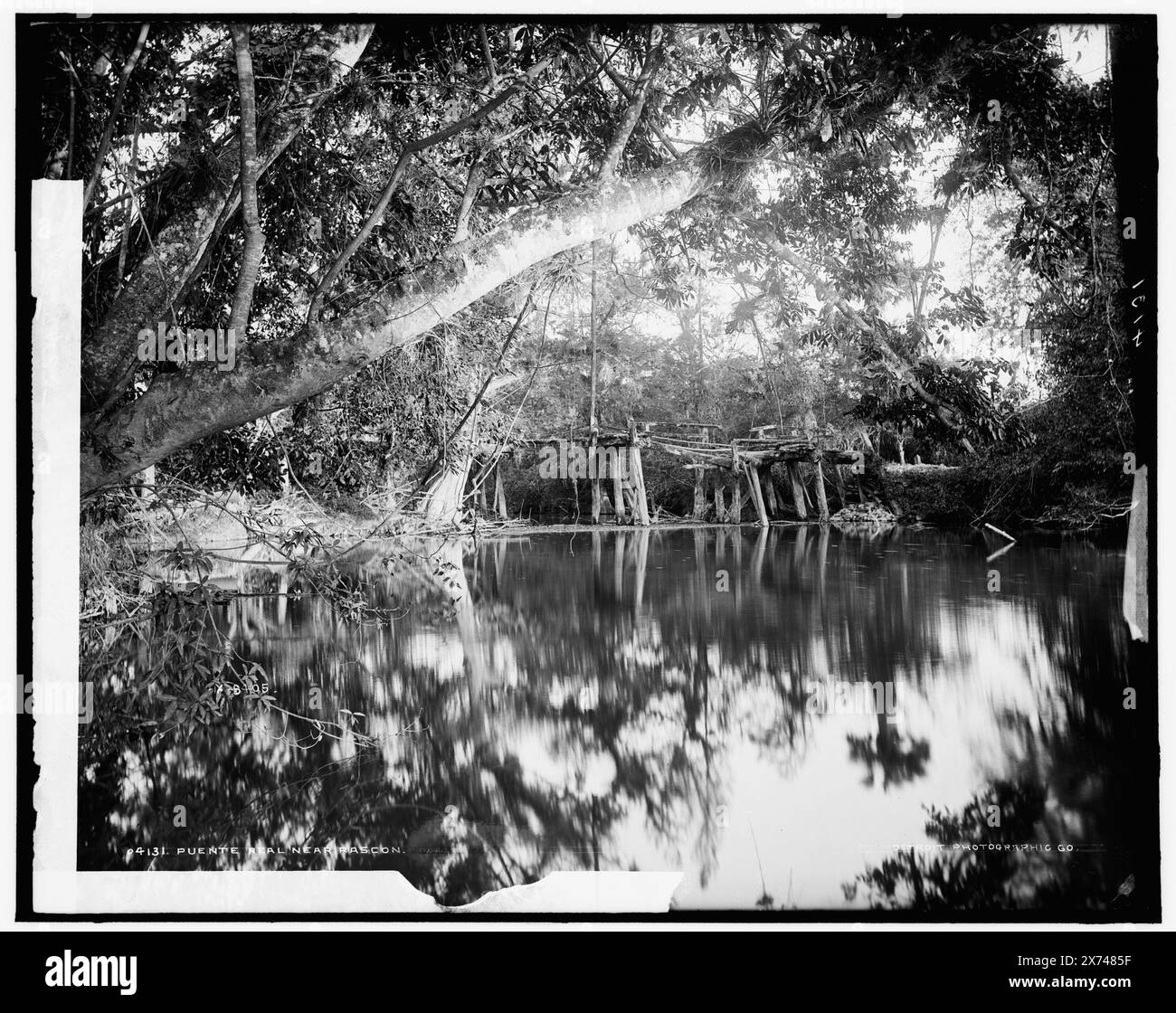 Puente Real vicino a Rascon, 'W.H.J. Phot. Co.," "68" e "5x8 8405" su negative., Detroit Publishing Co. N. 04131., Gift; State Historical Society of Colorado; 1949, Rivers. , Ponti. , Messico, Rascon. Foto Stock