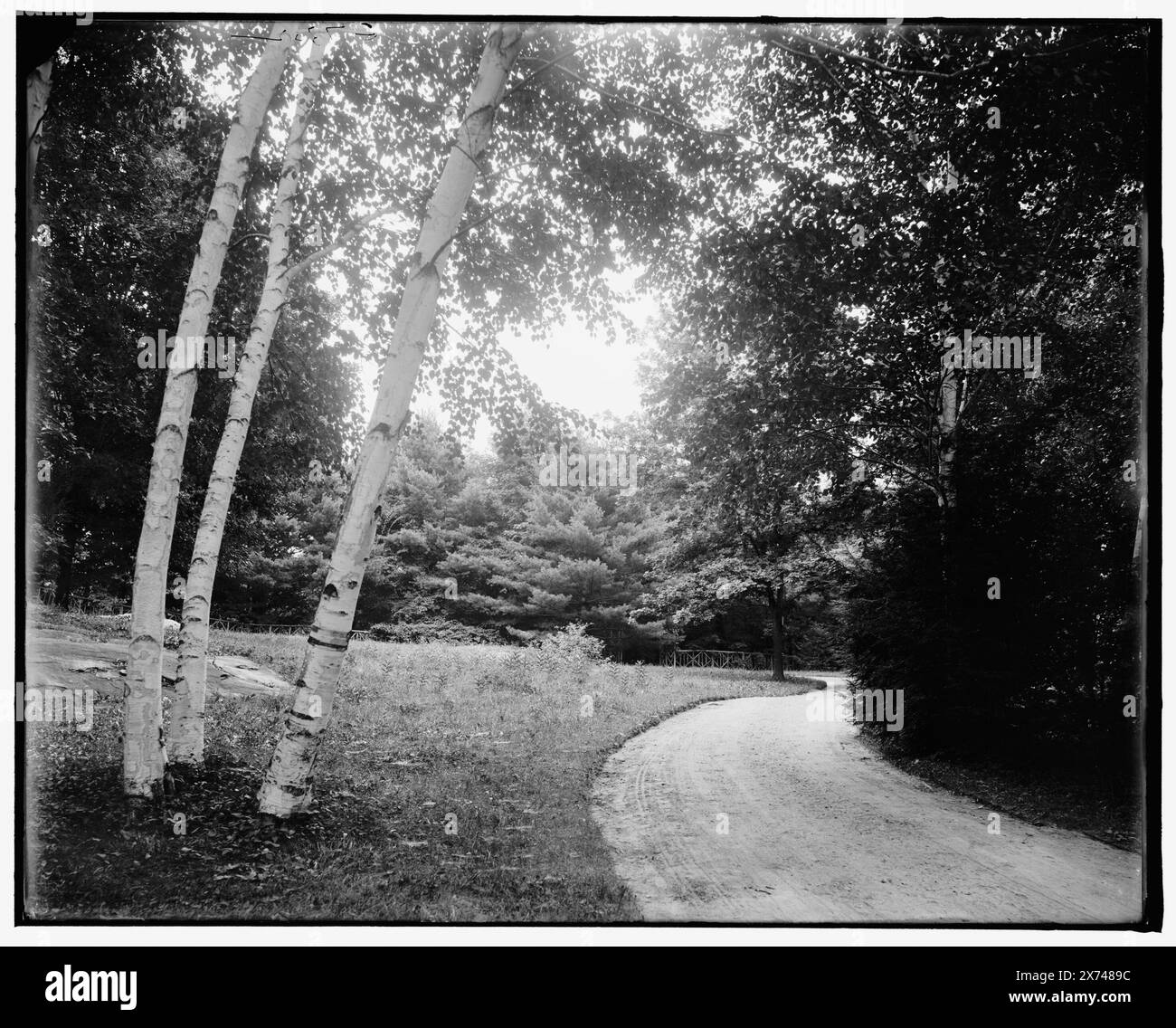 Lenox, Mass., Road to Stonover, Title from jacket., 'G 7302' on negative., No Detroit Publishing Co. No, Gift; State Historical Society of Colorado; 1949, Roads. , Stati. , Stati Uniti, Massachusetts, Lenox. Foto Stock