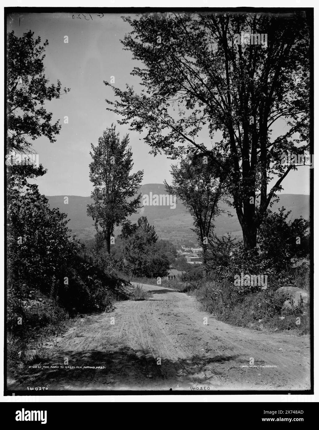 The Road to Mount Greylock, Adams, Mass., 'G 1320' su negative., Detroit Publishing Co. N. 072041., Gift; State Historical Society of Colorado; 1949, Roads. , Stati Uniti, Massachusetts, Greylock, Mount. Foto Stock
