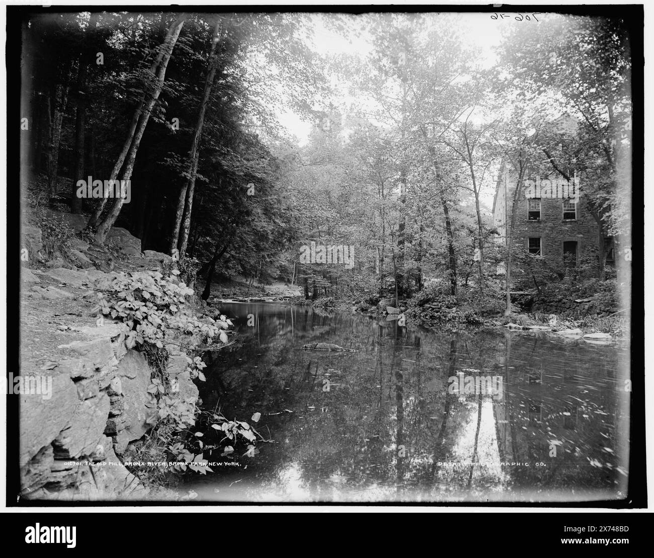 The Old Mill, Bronx River, Bronx Park, New York, Date based on Detroit, Catalogue J (1901)., '706-16' on negative., Detroit Publishing Co. N. 012701., Gift; State Historical Society of Colorado; 1949, Mills. , Fiumi. , Parchi. , Stati Uniti, New York (Stato), fiume Bronx. , Stati Uniti, New York (Stato), New York. Foto Stock