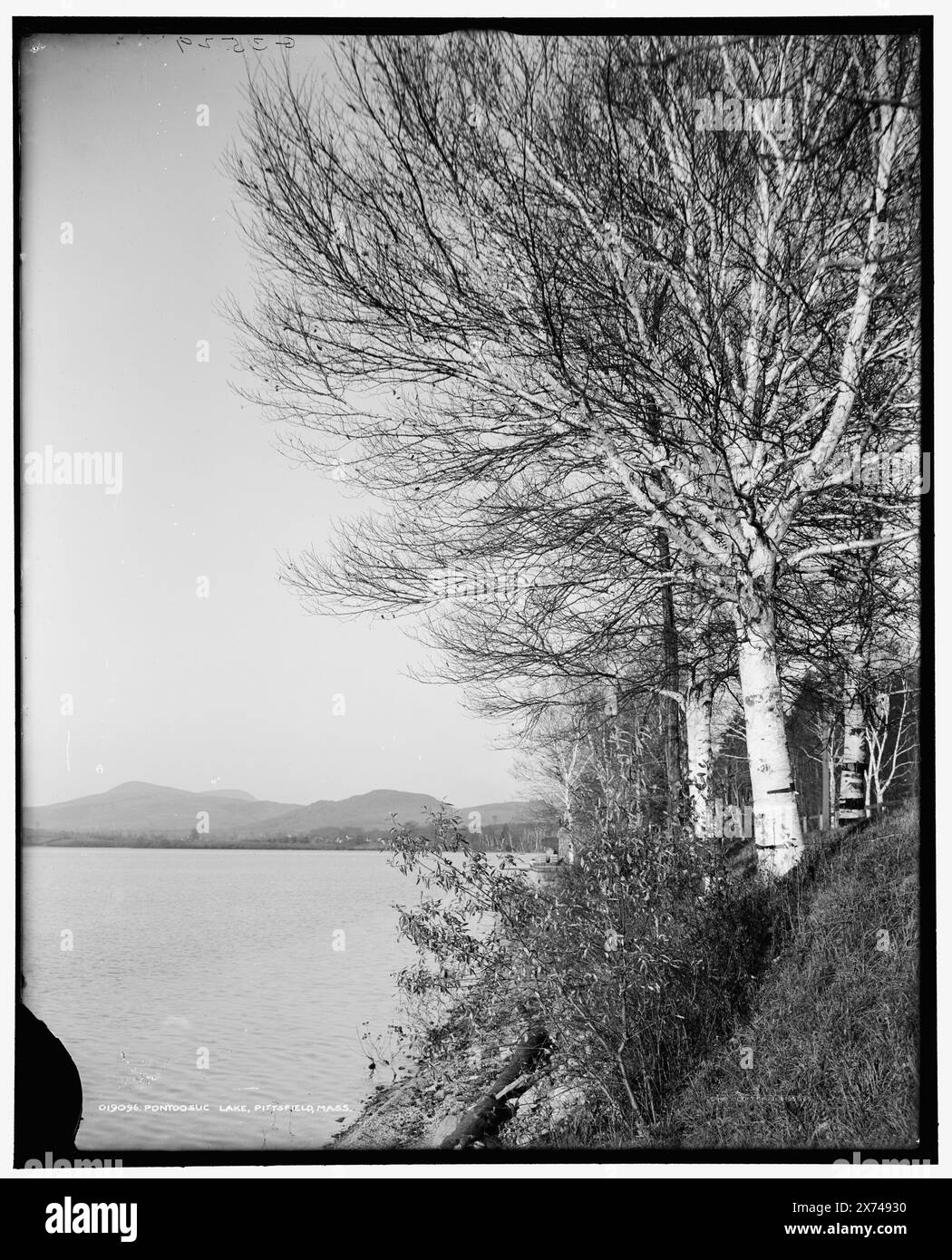 Pontoosuc Lake, Pittsfield, Massachusetts, 'G 3529' su negative., Detroit Publishing Co. N.. 019096., Gift; State Historical Society of Colorado; 1949, Lakes & Pond. , Stati Uniti, Massachusetts, Lago Pontoosuc. , Stati Uniti, Massachusetts, Pittsfield. Foto Stock