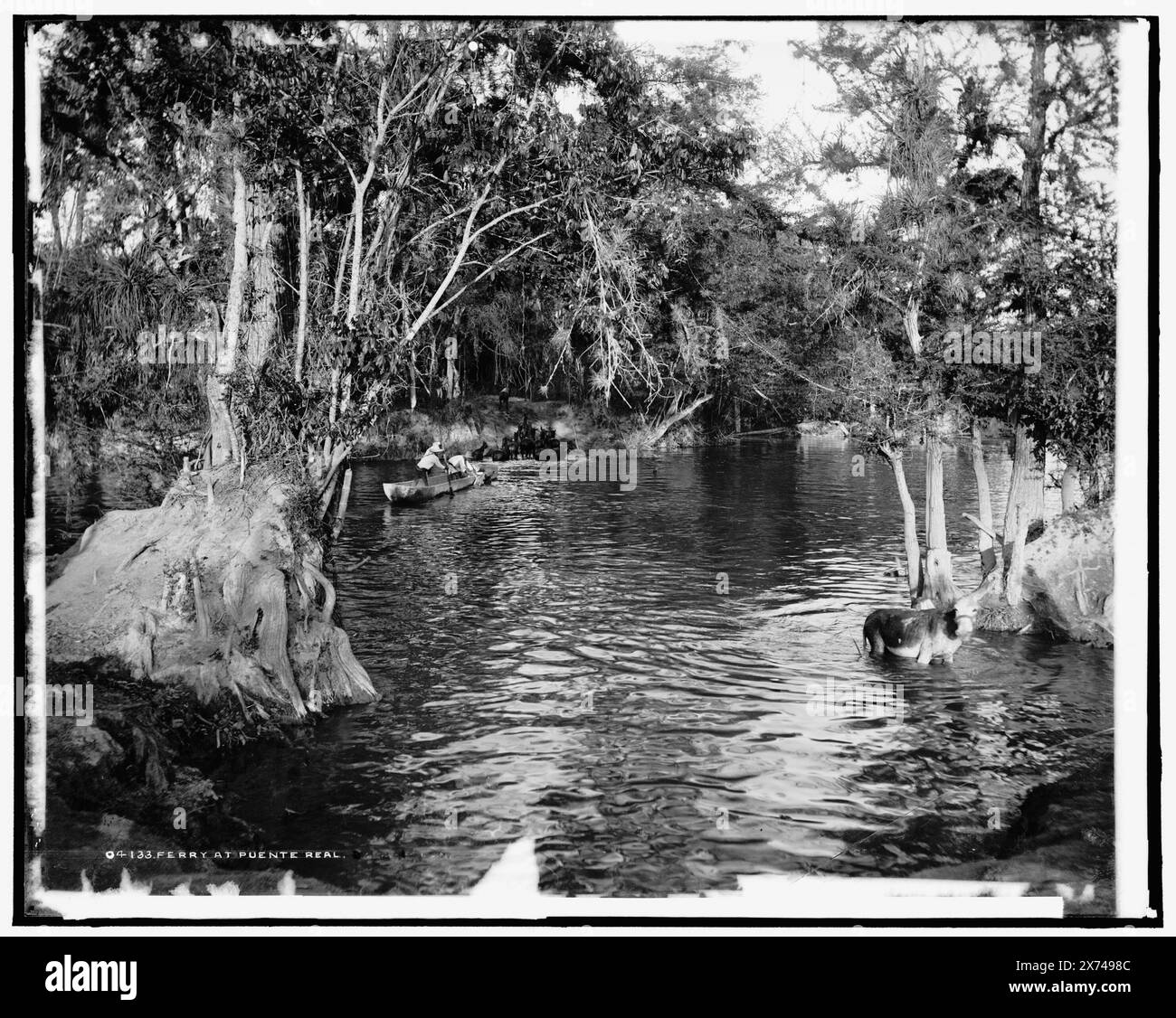Traghetto a Puente Real, negativo rotto in basso a destra e fissato al secondo foglio di vetro., locale vicino a Rascon basato su Catalogo delle viste di W.H. Jackson (1898) e negativo D4-4131., 'W.H.J. Phot. Co.' su negative., Detroit Publishing Co. No 04133., Gift; State Historical Society of Colorado; 1949, Rivers. , Traghetti. , Messico, Rascon. Foto Stock
