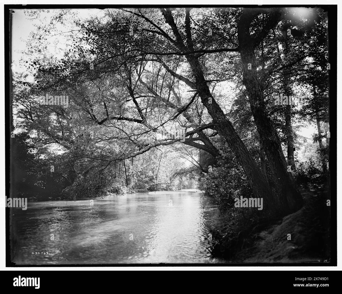 The Swannanoa Near Kenilworth Inn, Asheville, N.C., Title from jacket., 'WHJ 699' on negative., Detroit Publishing Co. No 032769., Gift; State Historical Society of Colorado; 1949, Rivers. , Stati Uniti, Carolina del Nord, Asheville. , Stati Uniti, Carolina del Nord, fiume Swannanoa. Foto Stock