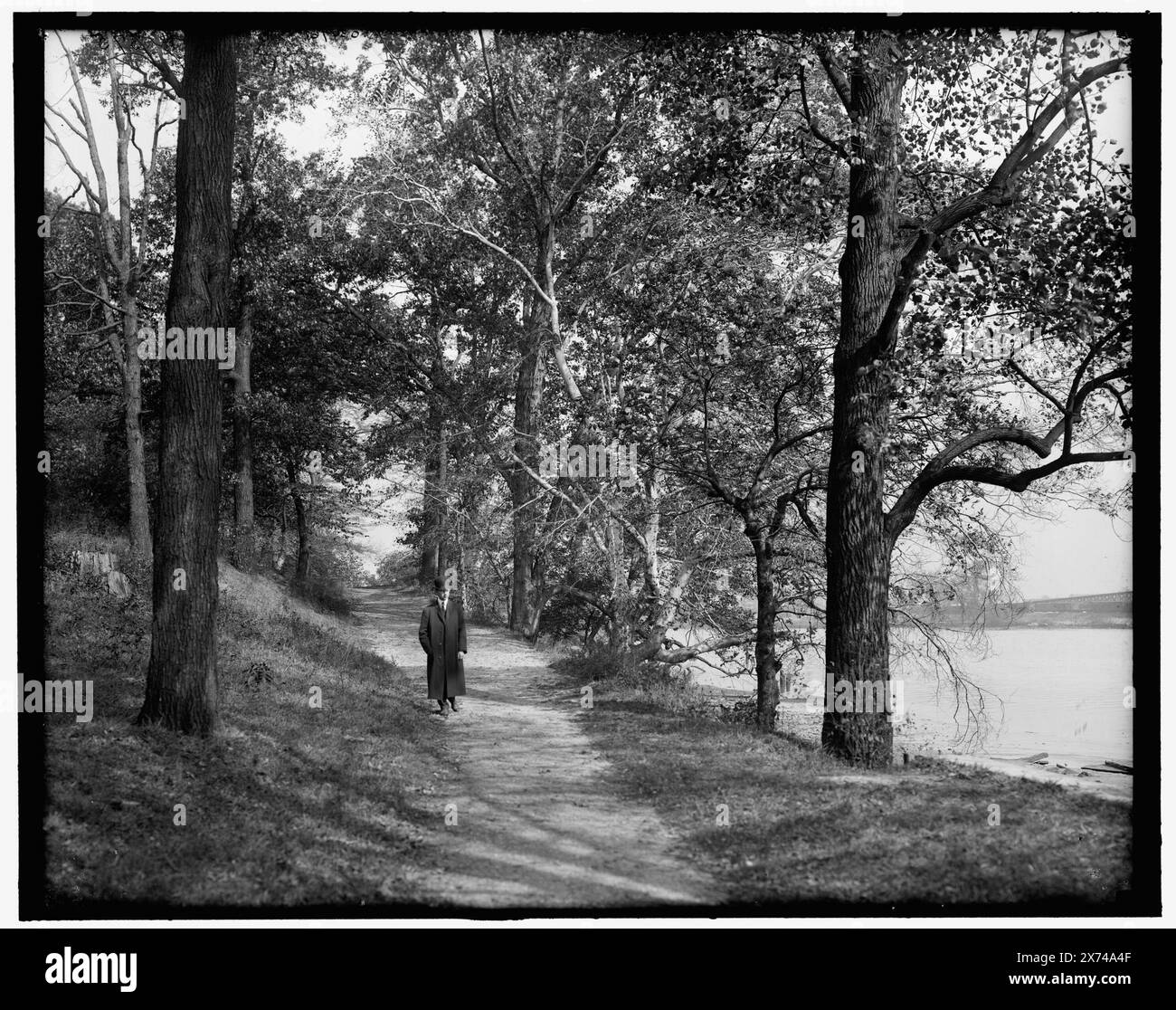 Path in John Bartram Park (Bartram's Gardens), Philadelphia, Pa., Title from jacket., 'H 375' on negative., Detroit Publishing Co. N. 034761., Gift; State Historical Society of Colorado; 1949, Parks. , Fronti d'acqua. , Percorsi e percorsi. , Stati Uniti, Pennsylvania, Filadelfia. Foto Stock