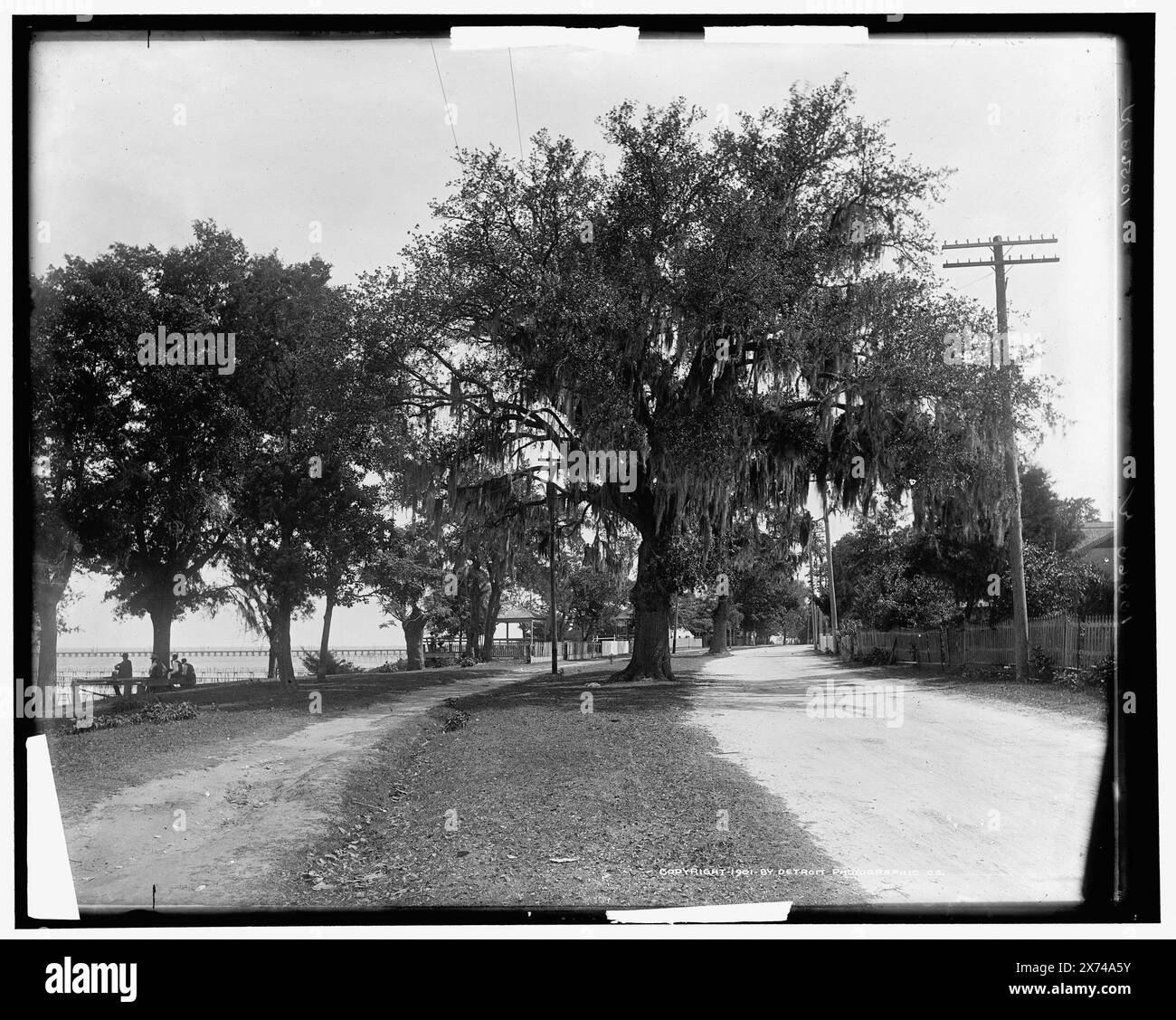 Lungo la baia, Bay St. Louis, Miss., immagini videodisco fuori sequenza; l'ordine effettivo da sinistra a destra è 1A-06270, 06269., '523' a sinistra negativa., Detroit Publishing Co. N. 010563., Gift; State Historical Society of Colorado; 1949, Waterfront. , Bay. , Stati Uniti, Mississippi, Bay Saint Louis. Foto Stock