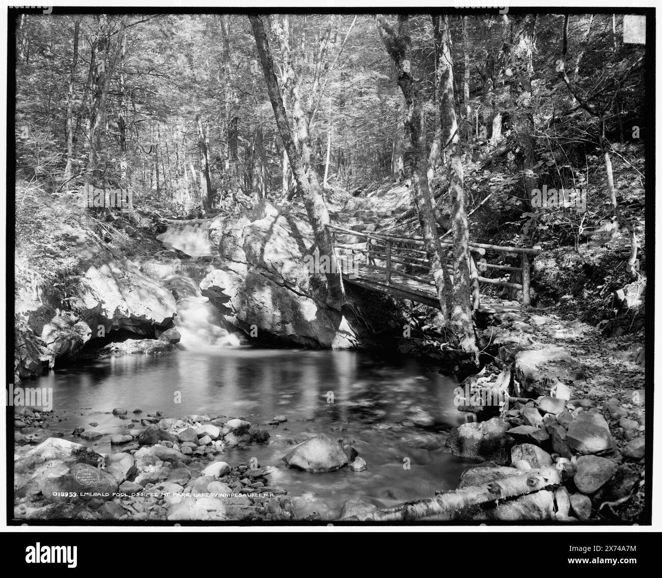 Piscina di smeraldo, Ossipee Mt. Park, Lake Winnipesaukee, N.H., '2978' su negativo., trasparenza vetro corrispondente (stesso codice di serie) disponibile su telaio videodisc 1A-30461., Detroit Publishing Co. N.. 018959., Gift; State Historical Society of Colorado; 1949, Lakes & Pond. , Ponti pedonali. , Foreste. , Stati Uniti, New Hampshire, Ossipee Mountain. , Stati Uniti, New Hampshire, Ossipee Park. Foto Stock