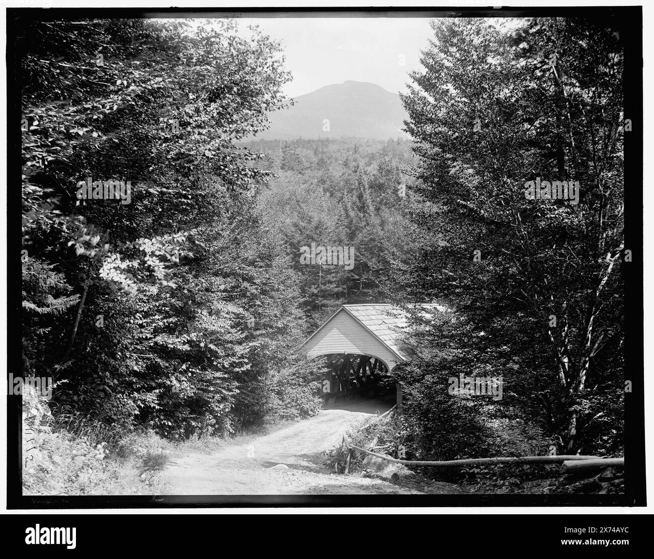 Sulla strada per il flume, Franconia Notch, WhiteMountains, Detroit Publishing Co. No 011775., Gift; State Historical Society of Colorado; 1949, Roads. , Ponti coperti. , Stati Uniti, New Hampshire, White Mountains. , Stati Uniti, New Hampshire, Franconia Notch. Foto Stock