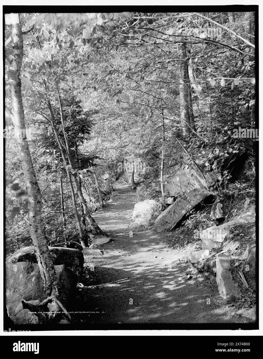 The Walk around Saco Lake, White Mountains, N.H., lettera 'A' dopo il titolo, '3685' su negative., Detroit Publishing Co. No 019818., Gift; State Historical Society of Colorado; 1949, Trails & Paths. , Foreste. , Stati Uniti, New Hampshire, White Mountains. , Stati Uniti, New Hampshire, Lago Saco. Foto Stock