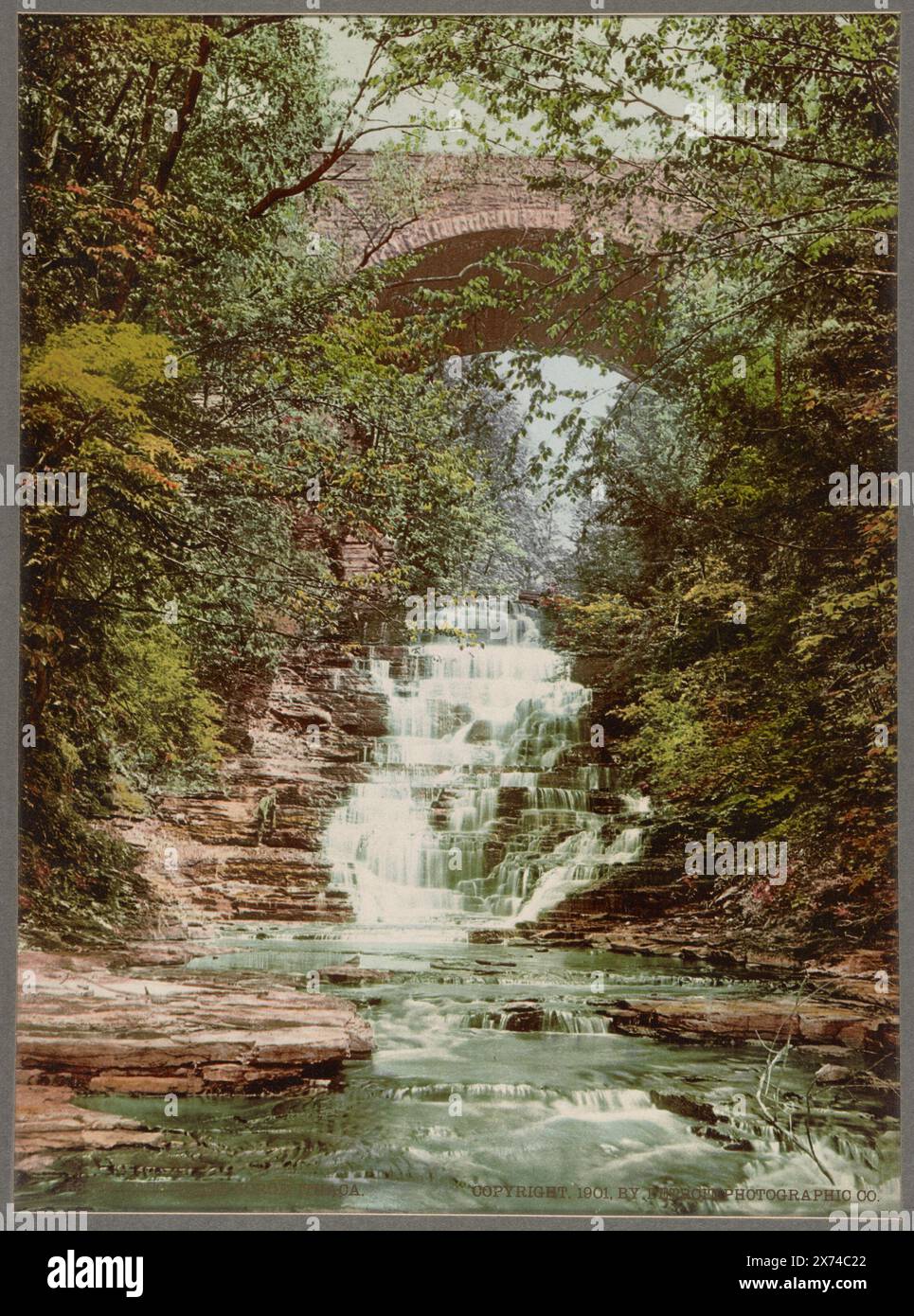 Cascadilla Gorge, Ithaca, in album preparato da Detroit Photographic Co. Da utilizzare come catalogo nel suo ufficio., Detroit Publishing Co., no 53584., Gift; State Historical Society of Colorado; 1955, Waterfalls. , Fiumi. , Stati Uniti, New York (Stato), Ithaca. , Stati Uniti, New York (Stato), Cascadilla Creek. Foto Stock