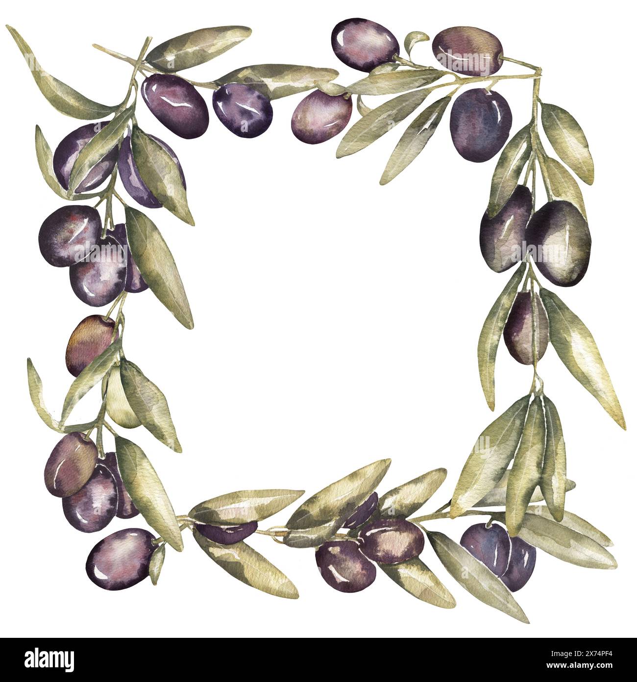 Cornice ad acquerello con ramoscello di olive, illustrazione a bordo di oliva Foto Stock