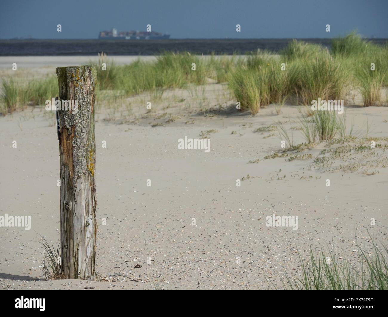 Una spiaggia tranquilla con palo di legno in primo piano, dune erbose e mare sullo sfondo, palo di legno su una spiaggia ghiacciata sul mare con dune Foto Stock