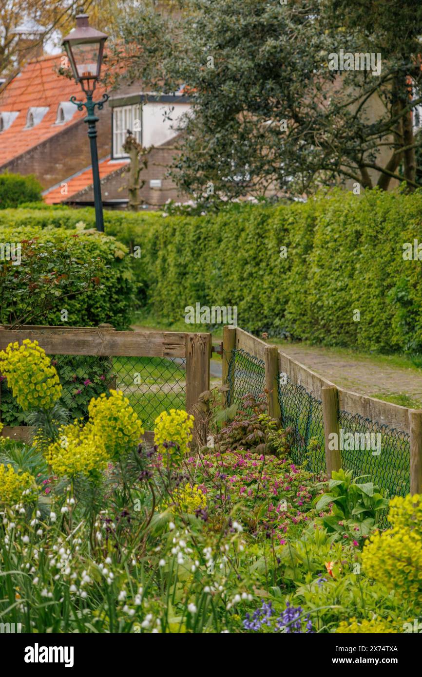 Arbusti fioriti dalla recinzione in legno, incorniciati da siepi verdi e pittoresche case del villaggio, vecchie case con giardini verdi in un piccolo villaggio, nes Foto Stock