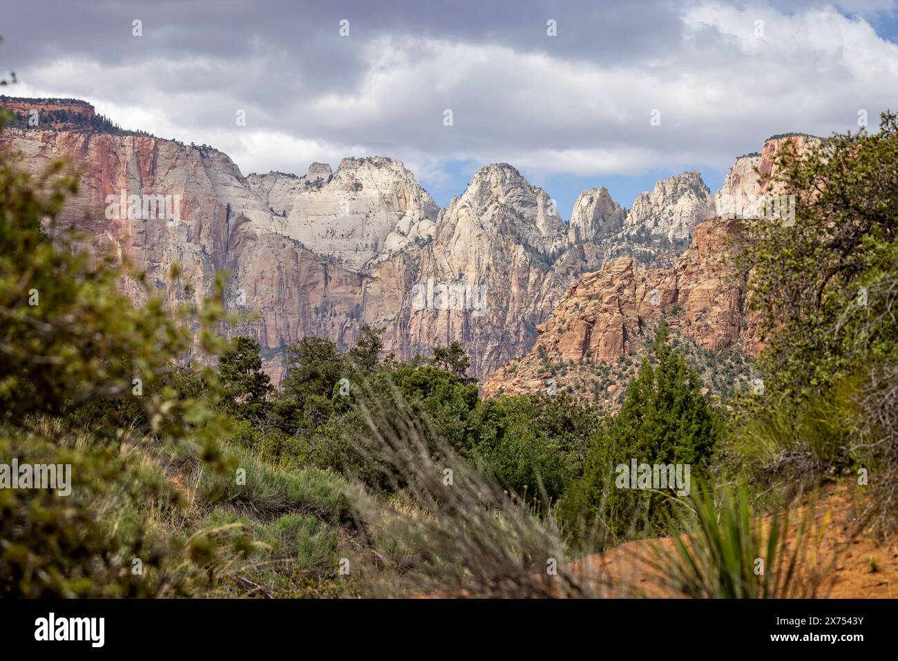 Il Tempio Ovest e le Torri della Vergine dalla Mount Carmel Highway nel Parco Nazionale di Zion, Utah, USA il 25 aprile 2024 Foto Stock