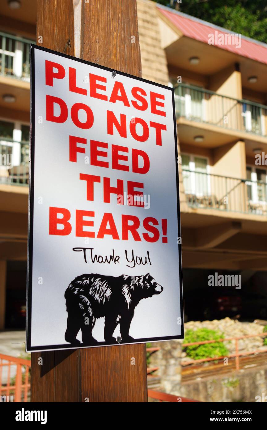 Si prega di non dare da mangiare agli orsi all'esterno dell'hotel Foto Stock