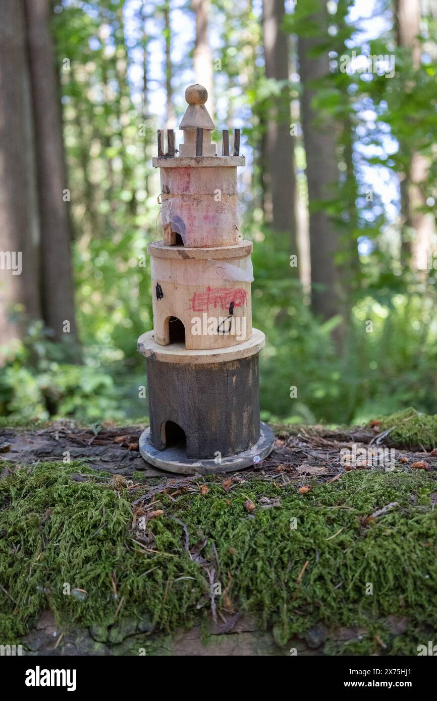 Raccolta di case per uccelli realizzate da bambini e collocate su alberi caduti nella foresta. Foto Stock