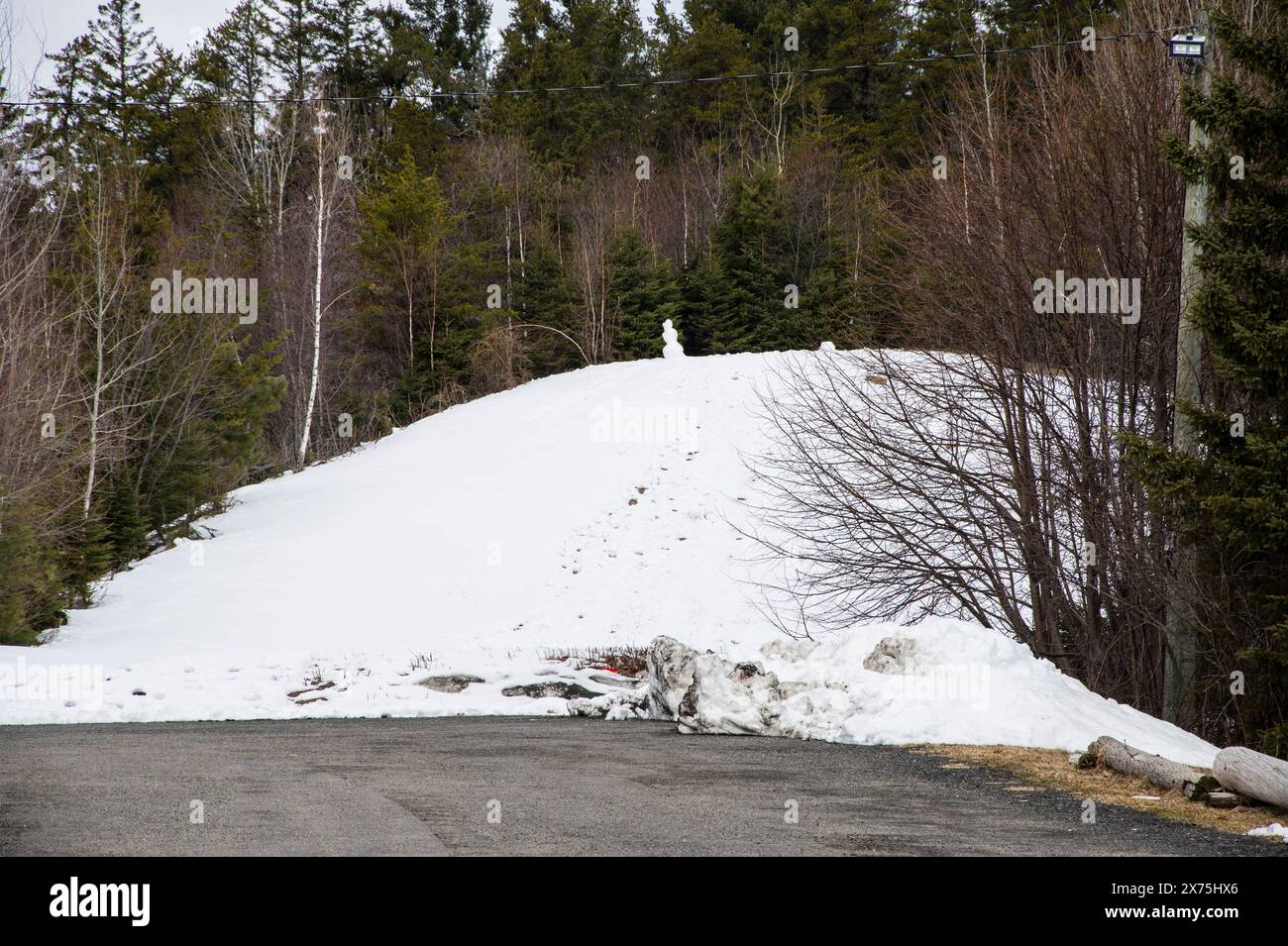 Pupazzo di neve su una collina al French Fort Cove Park a Miramichi, New Brunswick, Canada Foto Stock