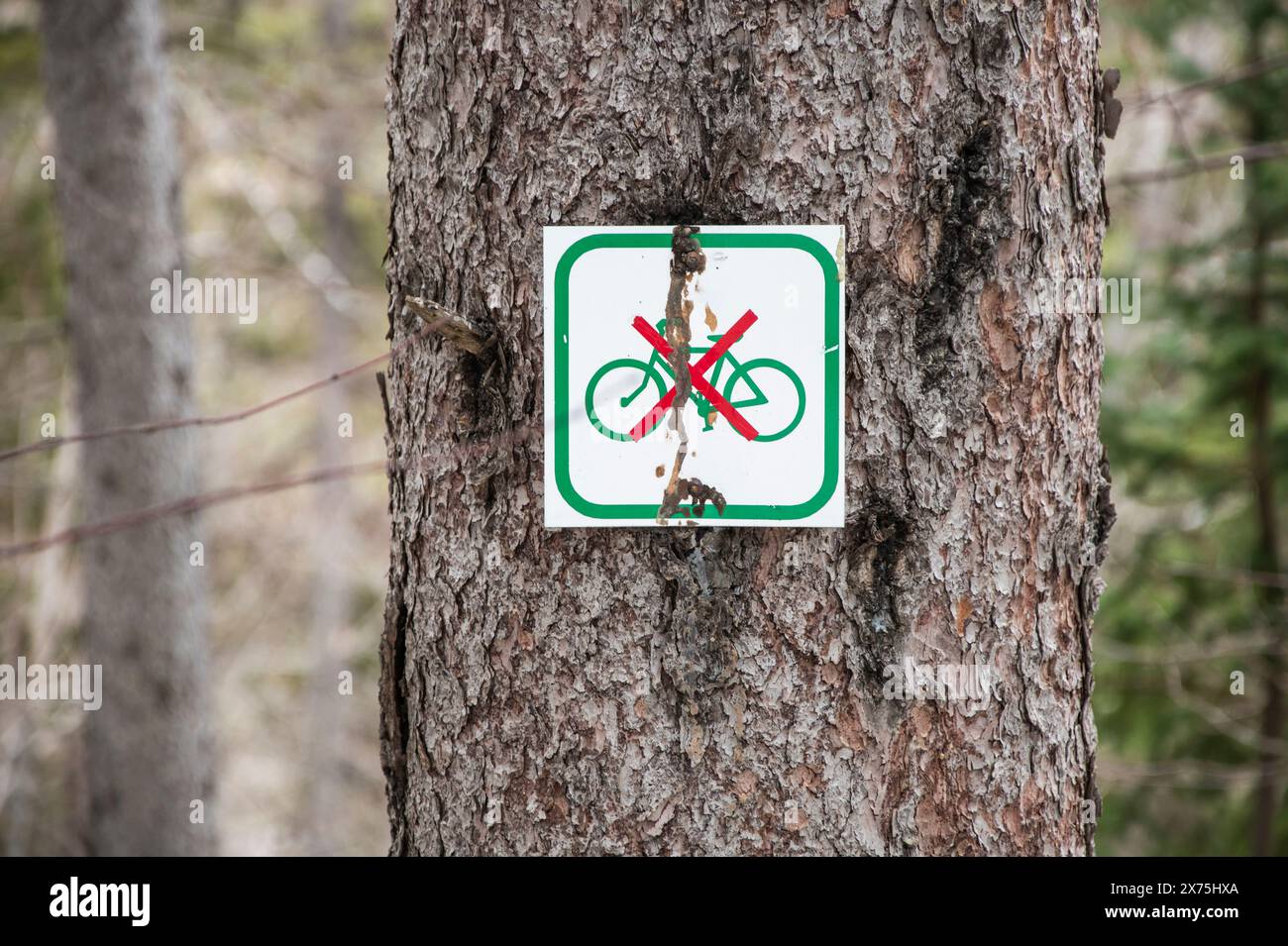 Nessun cartello per ciclismo al French Fort Cove Park di Miramichi, New Brunswick, Canada Foto Stock