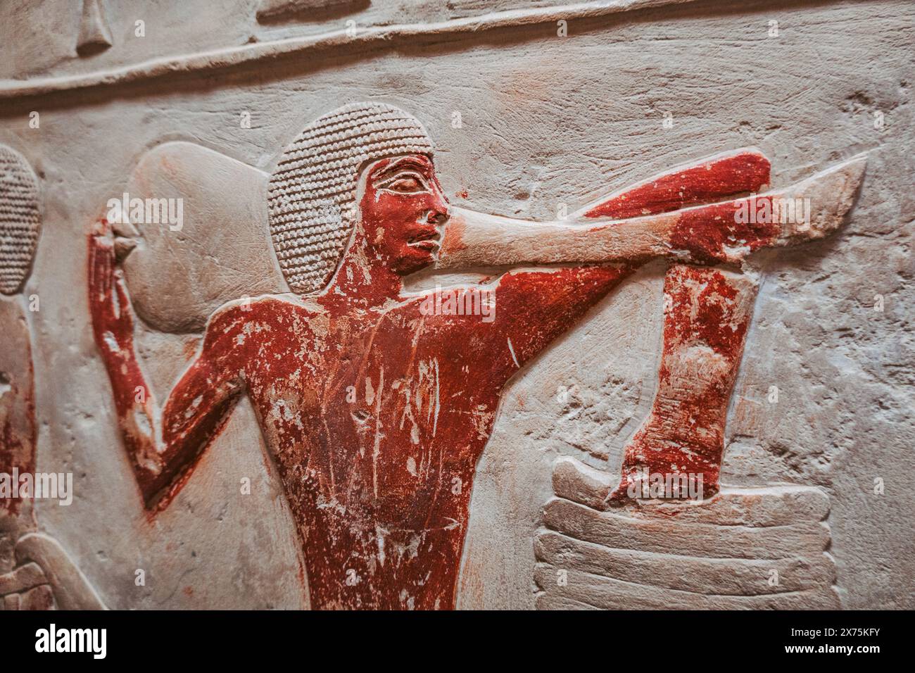 Tombe dipinte in rilievo di Saqqara che mostrano un operaio del Vecchio Regno che sprema l'uva o impastare, con pigmento rosso vibrante e intaglio dettagliato. Foto Stock