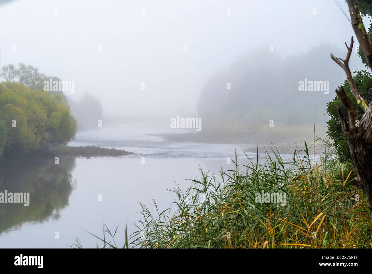 Mattina di Foggy sul fiume Mersey a Latrobe, Tasmania Foto Stock