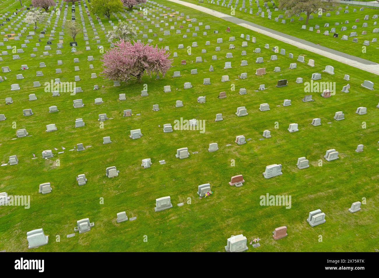 Vista aerea del cimitero con albero rosa, Pennsylvania, Stati Uniti Foto Stock