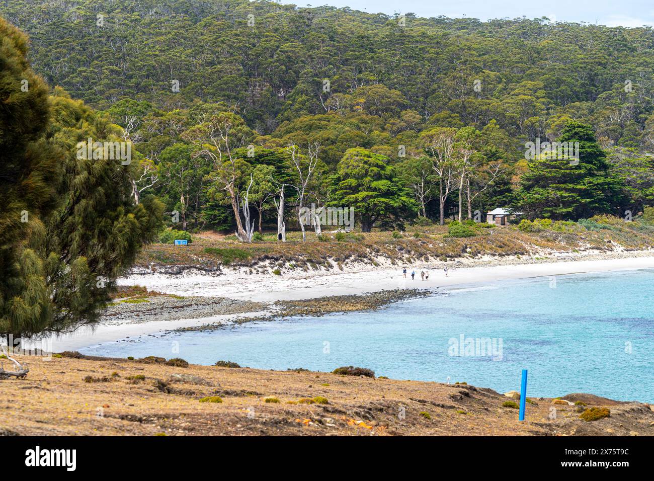 Rutherford Beach, Maria Island, Tasmania Foto Stock