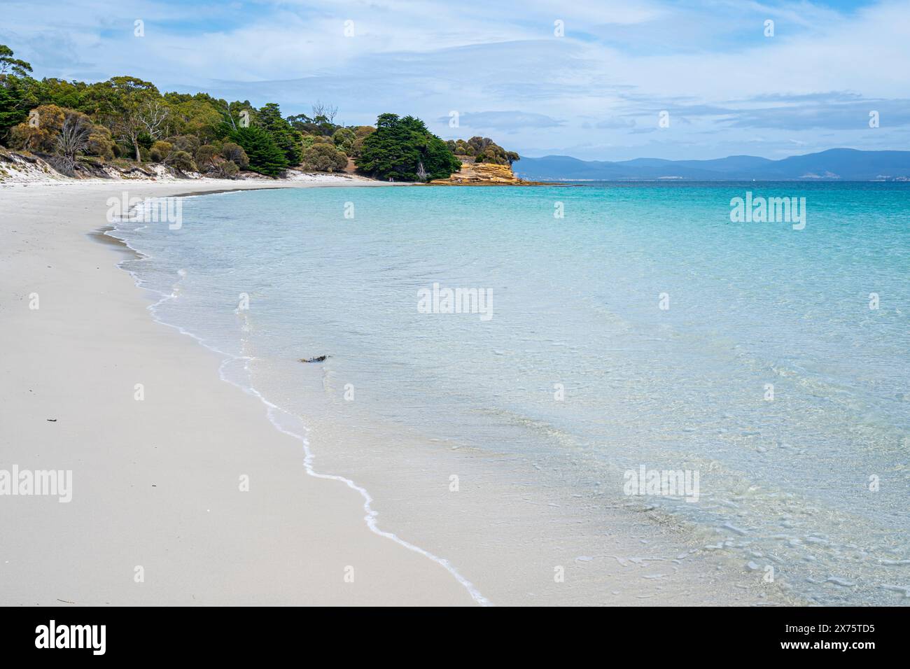 Rutherford Beach, Maria Island, Tasmania Foto Stock