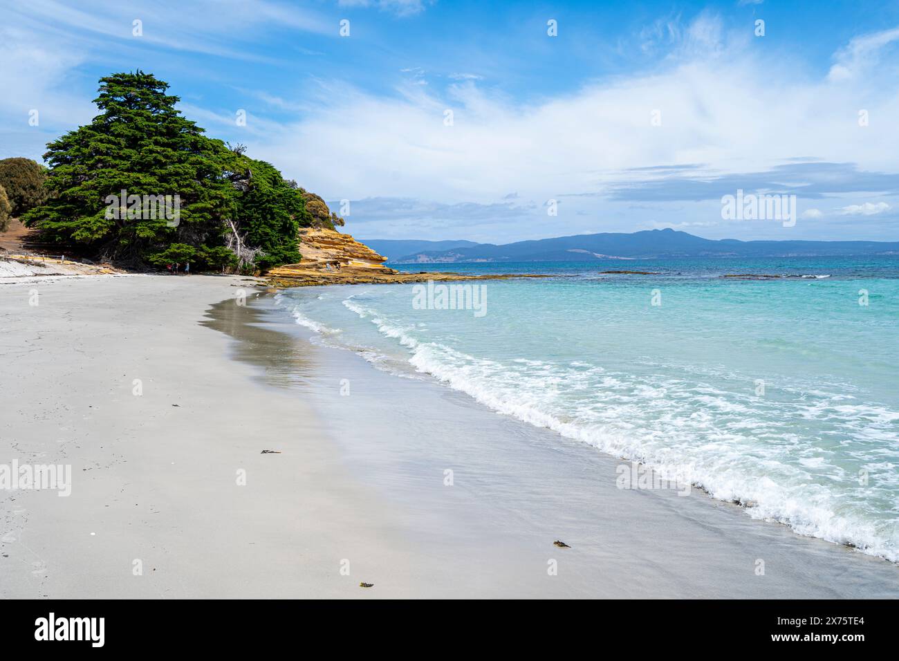 Rutherford Beach, Maria Island, Tasmania Foto Stock