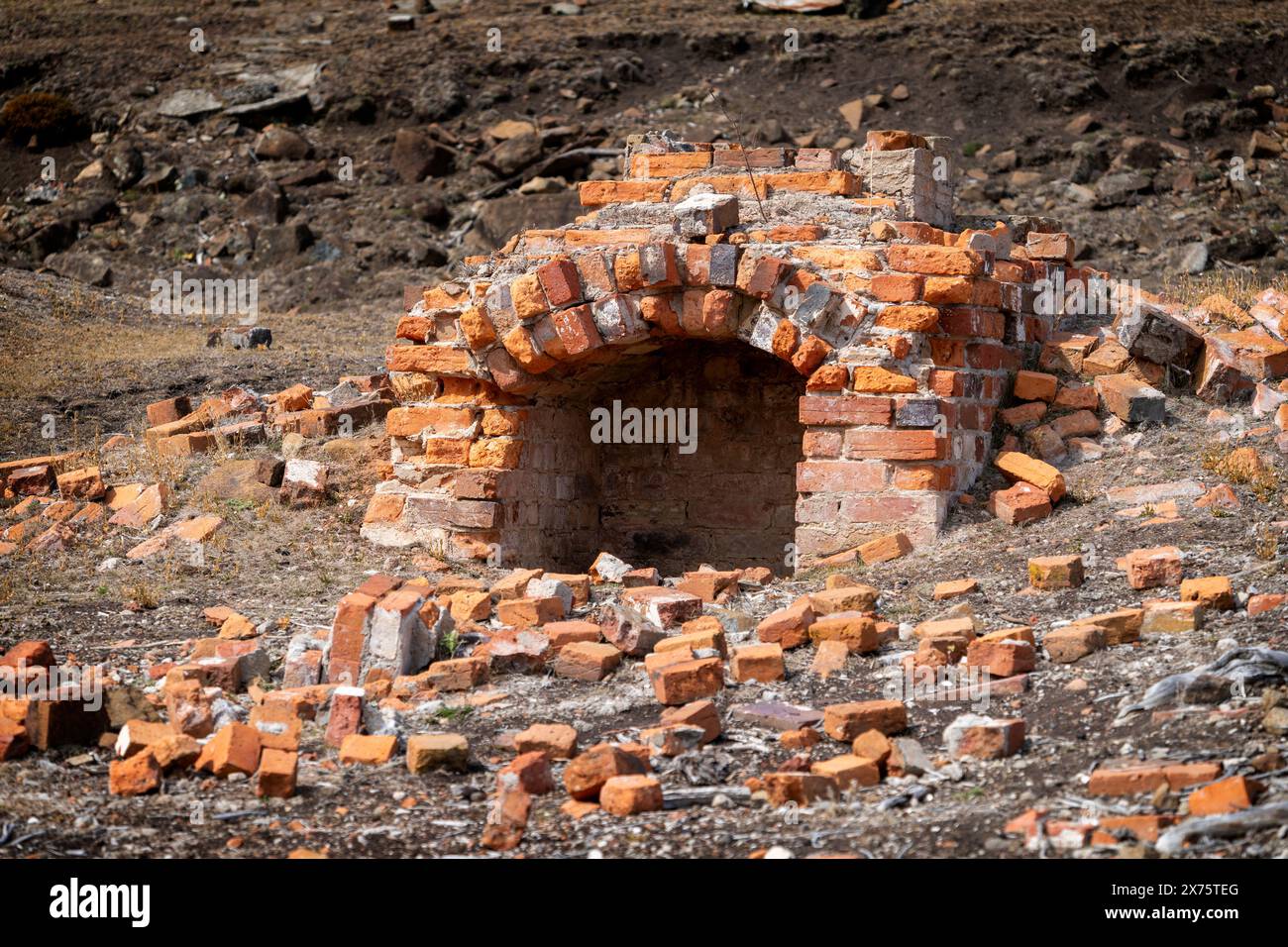 I caminetti in mattoni sono tutto ciò che rimane di una fila di cottage operai conosciuti come i dodici Apostoli, Darlington, Maria Island Tasmania Foto Stock