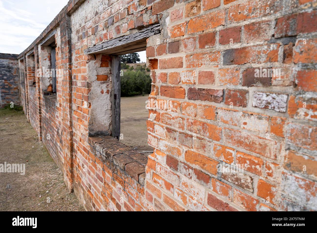 Resti di celle di isolamento in mattoni costruite dai detenuti, Darlington, Maria Island, Tasmania Foto Stock