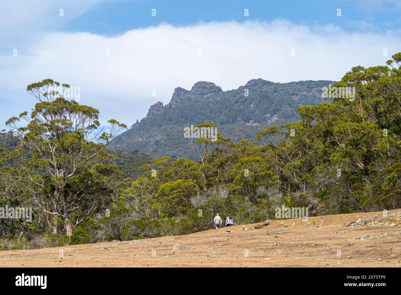 Gli escursionisti esplorano le attrazioni turistiche di Maria Island con il Monte Maria sullo sfondo Foto Stock