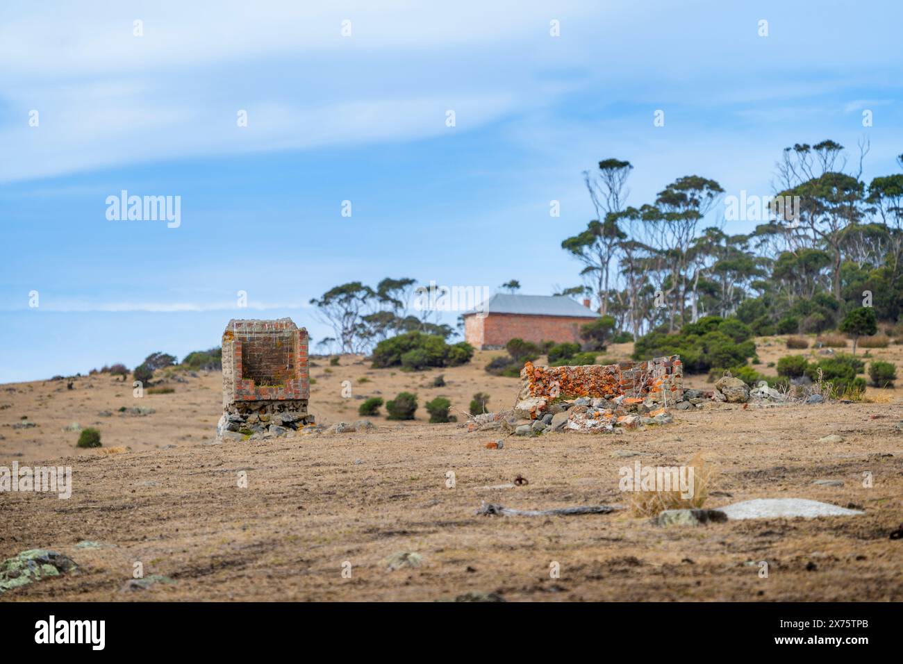 Rovine di Convict Barn sulla collina sopra Darlington Bay, maria Island, Tasmania Foto Stock