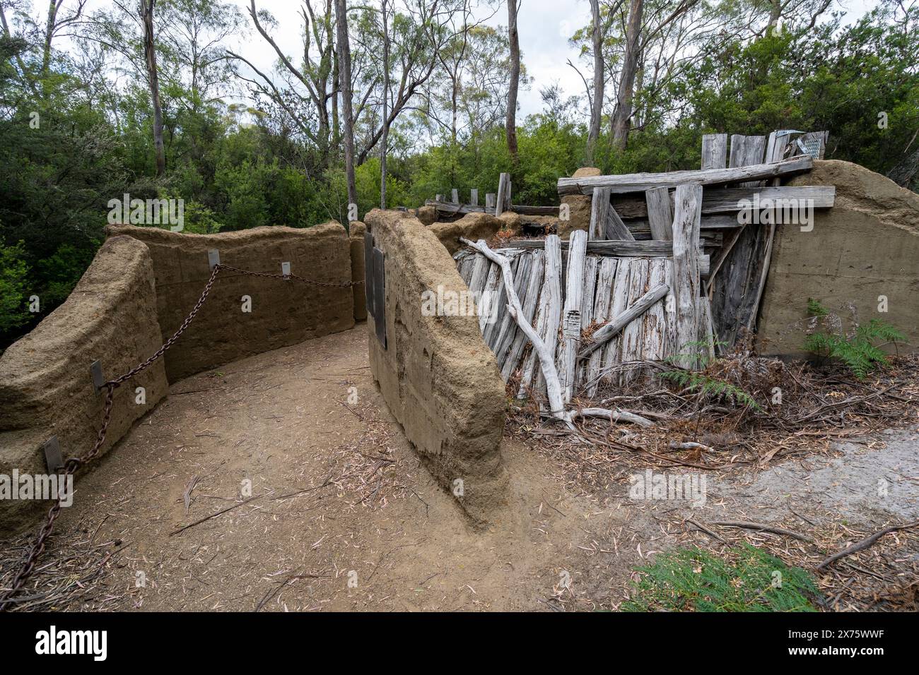 Rovine di detenuti presso il sito storico delle miniere di carbone, Ironstone Bay, Tasmania, Tasmania Foto Stock