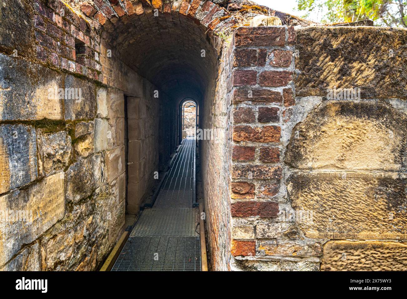 Rovine di detenuti presso il sito storico delle miniere di carbone, Ironstone Bay, Tasmania, Tasmania Foto Stock