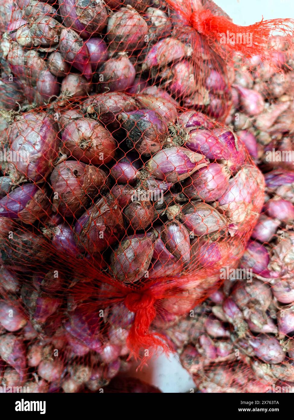 cipolla in sacchetti trasparenti Foto Stock