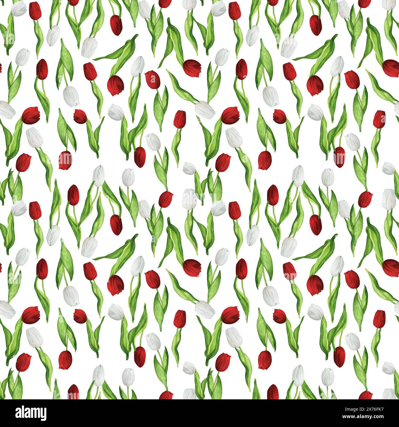 Illustrazione ad acquerello disegnata a mano. Motivo floreale senza cuciture con tulipani rossi e bianchi in ordine casuale Foto Stock