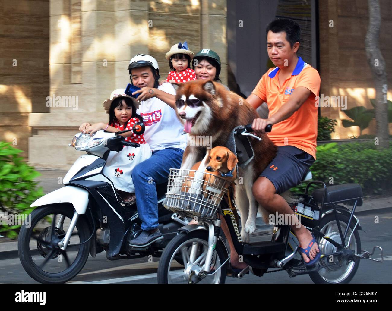 La città di Ho Chi Minh, Vietnam - Giugno 02, 2019; l'uomo prende due cani per un giro sul ciclo del motore nel mezzo dell'ità di domenica mattina mentre la famiglia prende Foto Stock