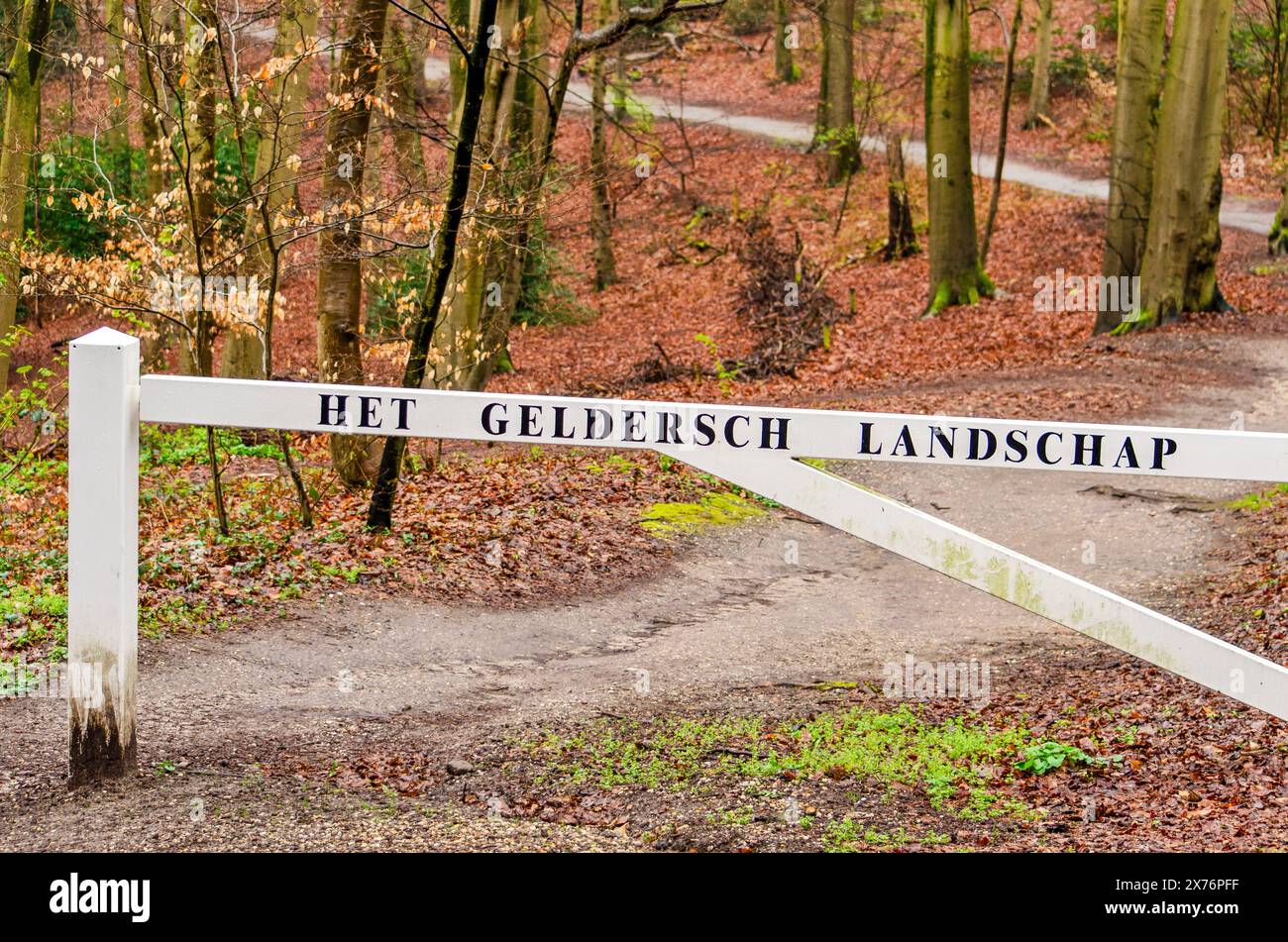 Percorso attraverso una foresta nei pressi di Nijmegen, Paesi Bassi, con una recinzione bianca con il testo "paesaggio di Gheldria" in olandese Foto Stock