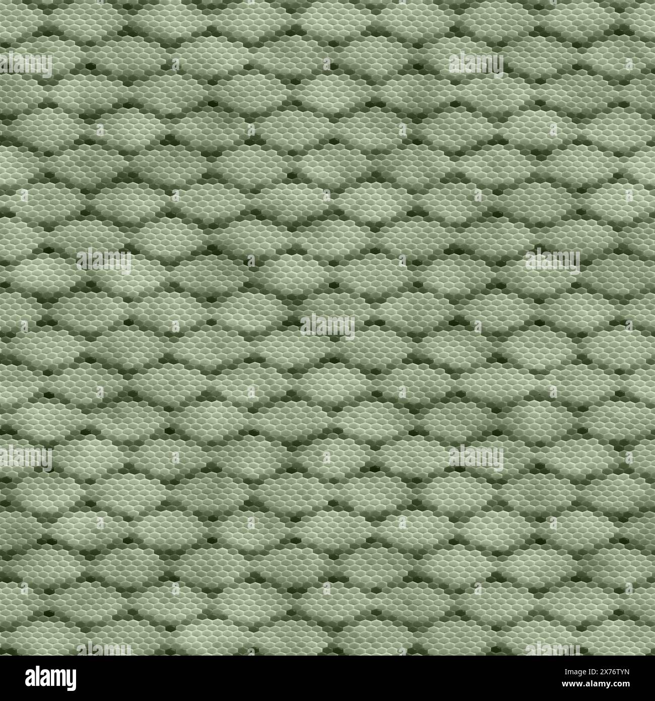 Reptile Skin - veri rettili, Lizard Foto Stock