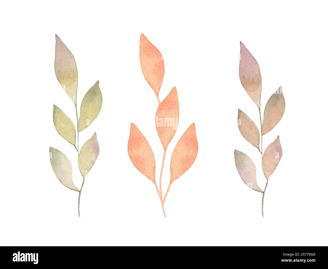 Rami con foglie, realizzati con tecnica acquerello. Clipart botanico in colori pastello autunnali. Disegno isolato disegnato a mano. Arte floreale e vegetale Foto Stock