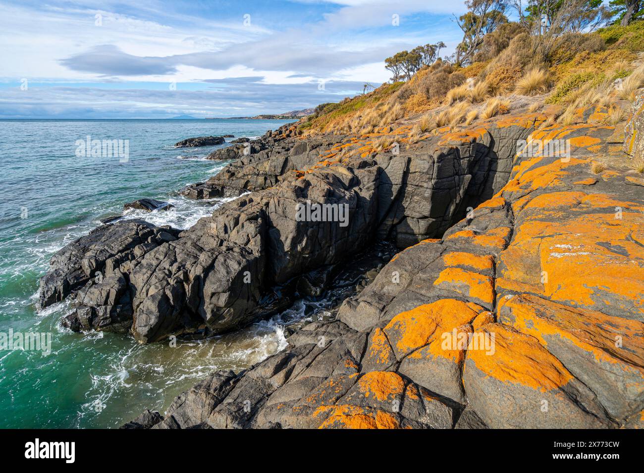 Licheni ricoperti di rocce al promontorio di Swansea Beach, Swansea, Tasmania Foto Stock