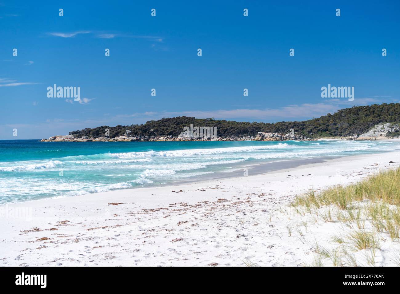 Spiaggia di sabbia bianca e cielo blu a Swimcart Beach, Bay of Fires, Tasmania Foto Stock