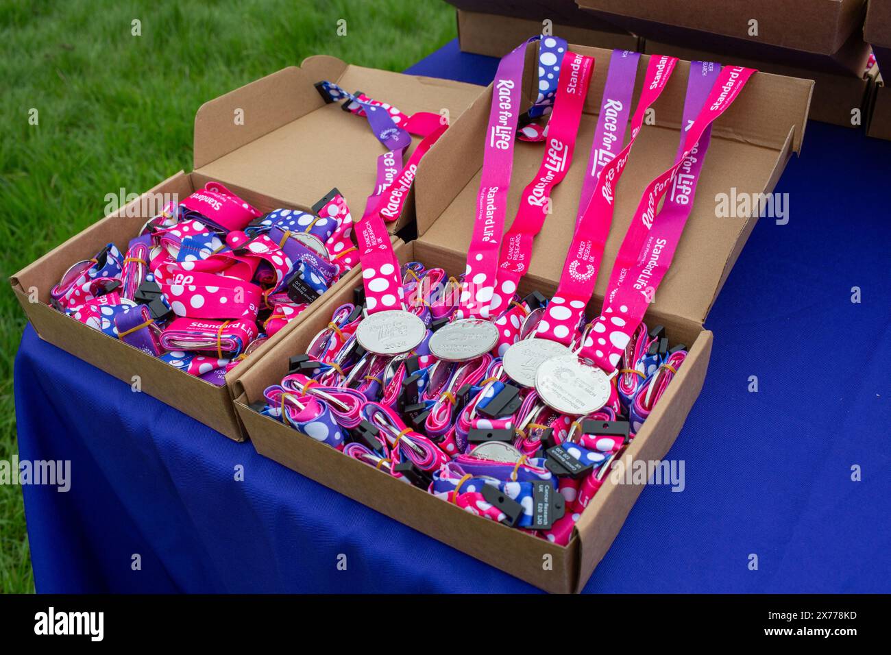 Brentwood Essex 18 maggio 2024 Cancer UK Race for Life al Weald Country Park centinaia partecipano per raccogliere fondi per la ricerca sul cancro salvavita, Brentwood Essex credito: Richard Lincoln/Alamy Live News Foto Stock