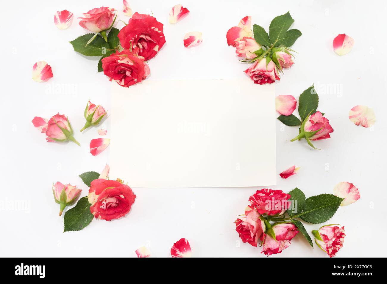 Romantica cornice floreale con spazio vuoto Foto Stock