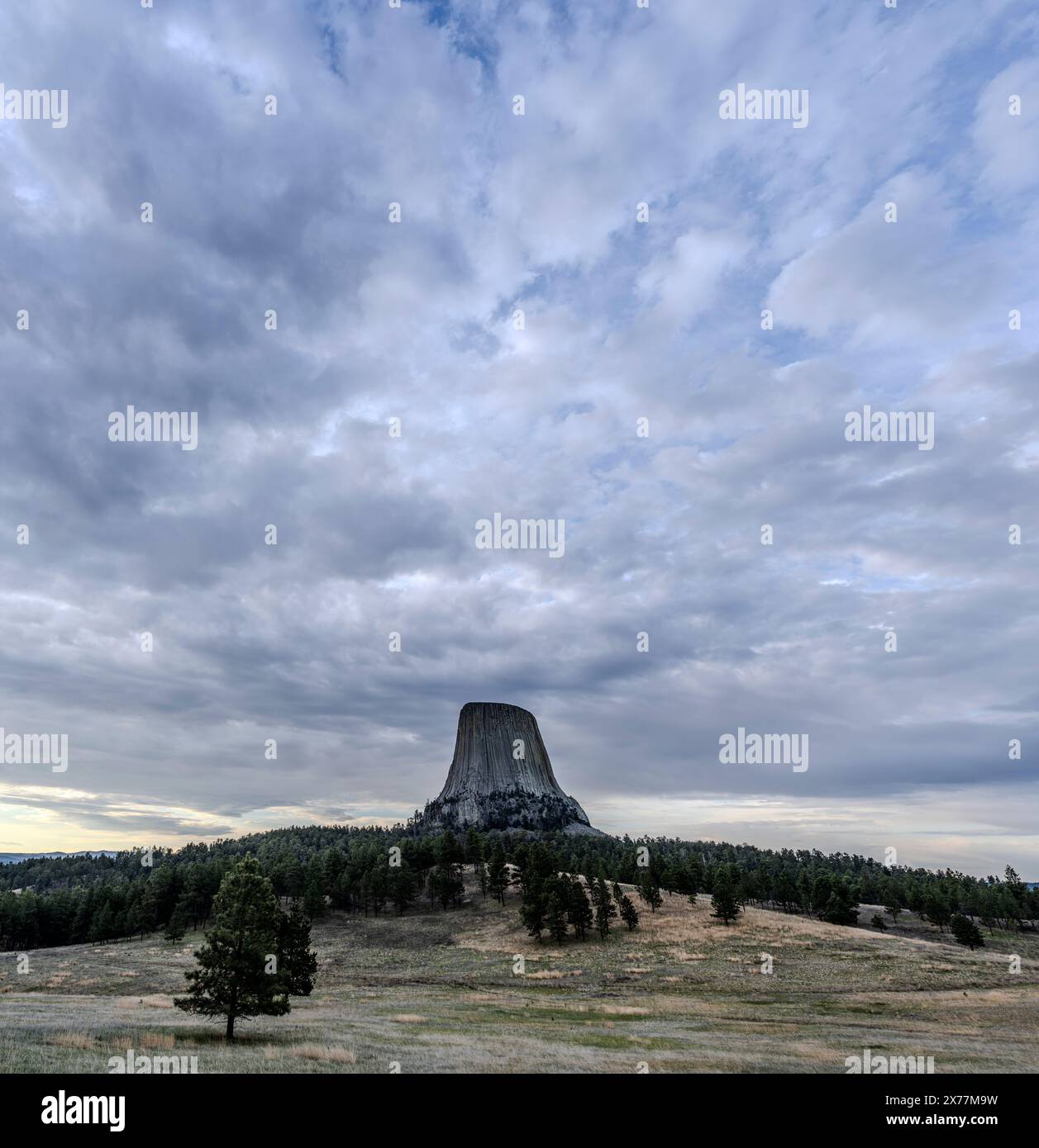 Devils Tower National Monument nel Wyoming. Foto Stock